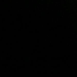 Meet your Posher, Miguel